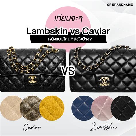 lambskin vs chanel caviar